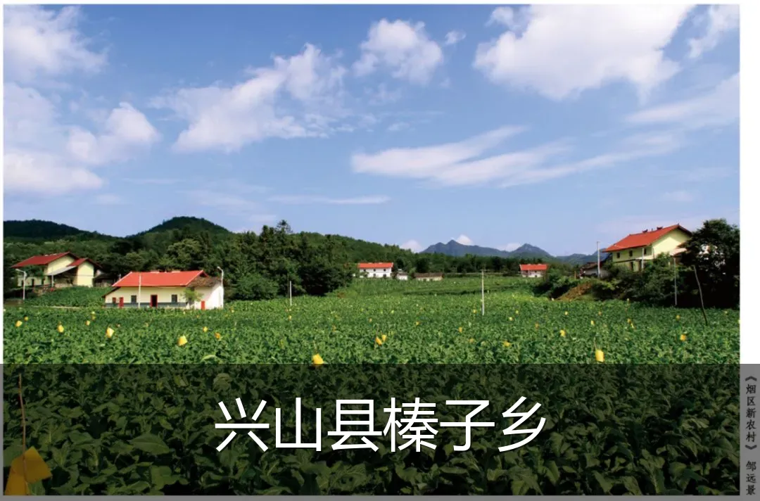 兴山县榛子乡